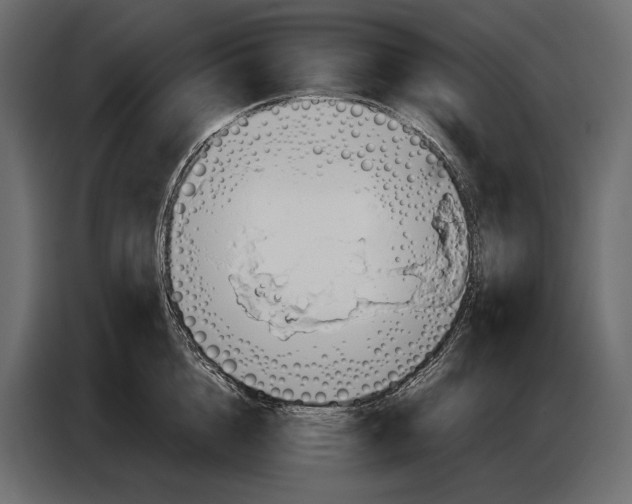 X0000087010856200705071524