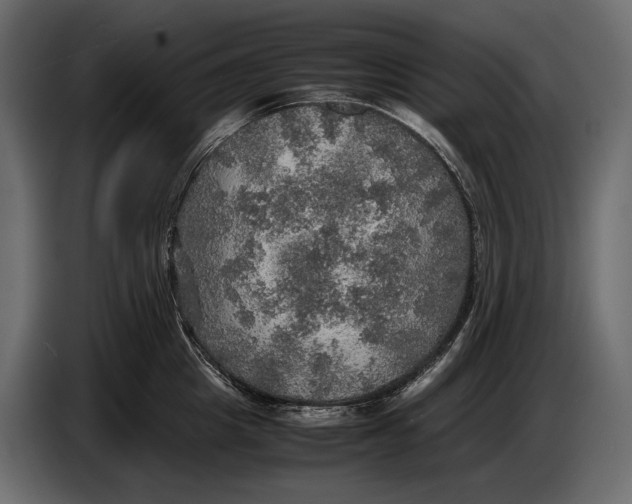 X0000087010857200705071524