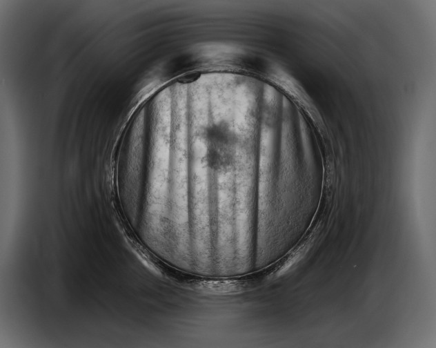 X0000087010858200705071524