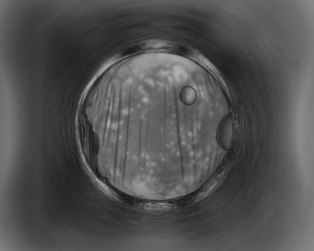 X0000087010859200705071524