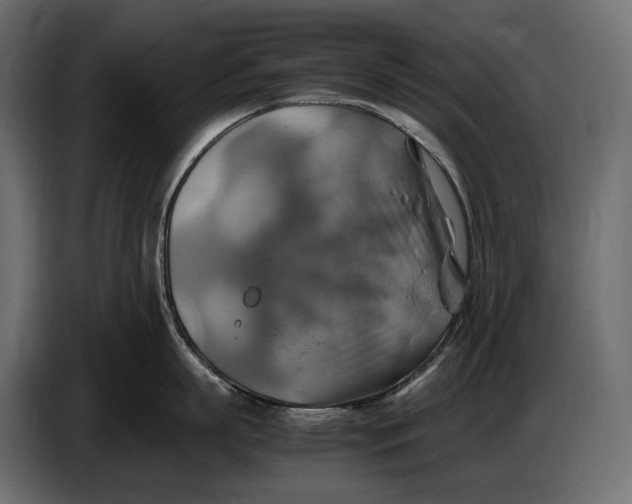 X0000087010863200705071524