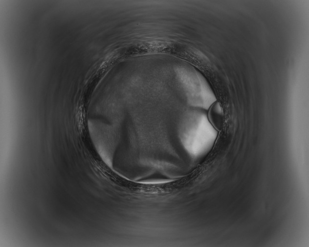 X0000087010866200705071524