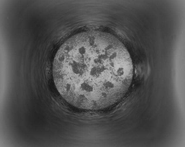 X0000087010867200705071524