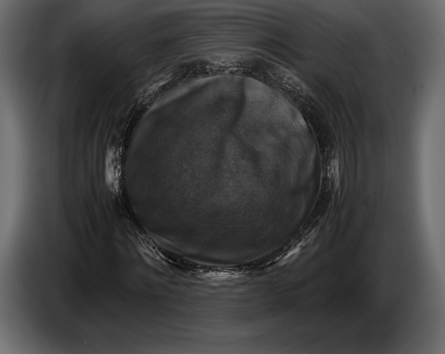 X0000087010868200705071524