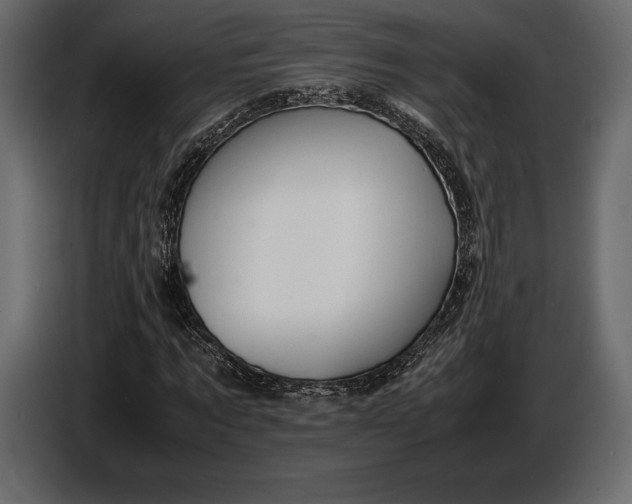 X0000087010869200705071524