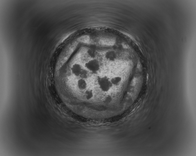 X0000087010871200705071524