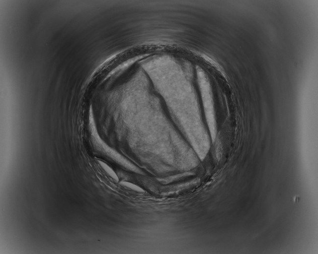 X0000087010872200705071524