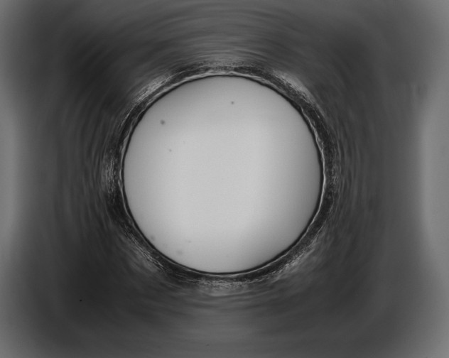 X0000087010873200705071524