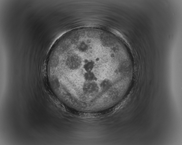 X0000087010875200705071524