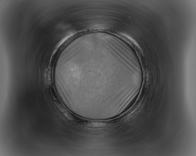 X0000087010878200705071524