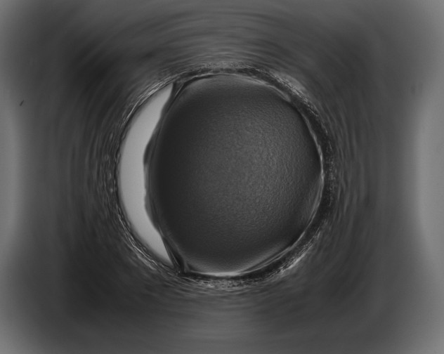 X0000087010881200705071524