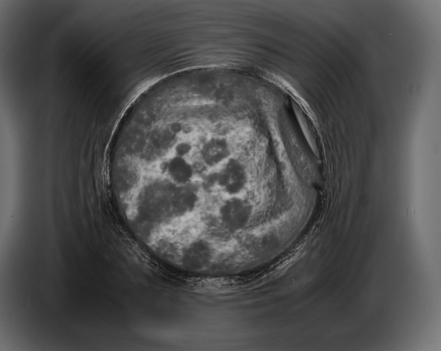 X0000087010883200705071524