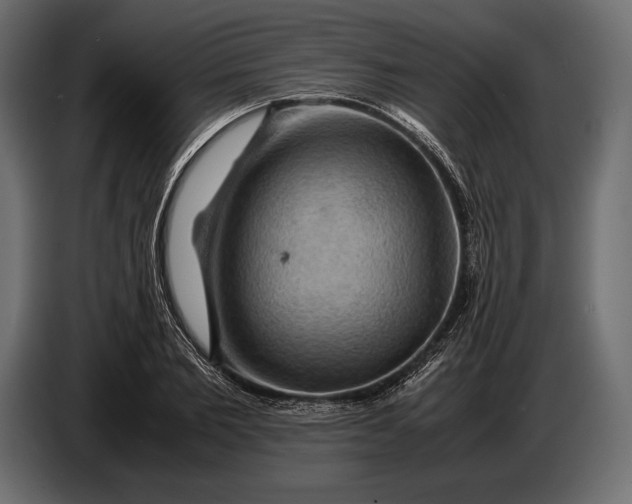 X0000087010885200705071524