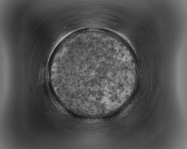 X0000087010887200705071524