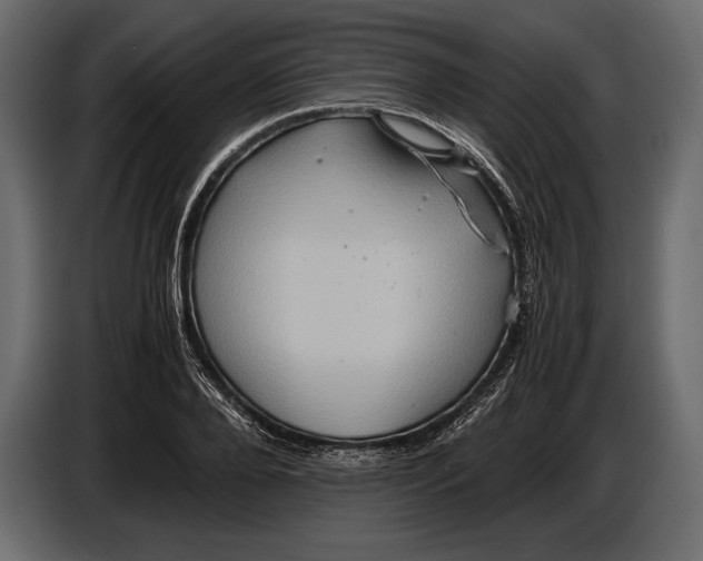 X0000087010888200705071524