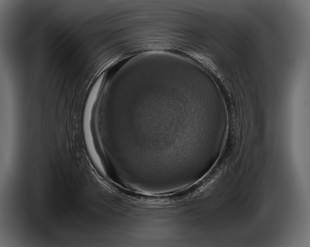 X0000087010889200705071524