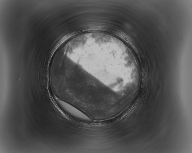 X0000087010890200705071523