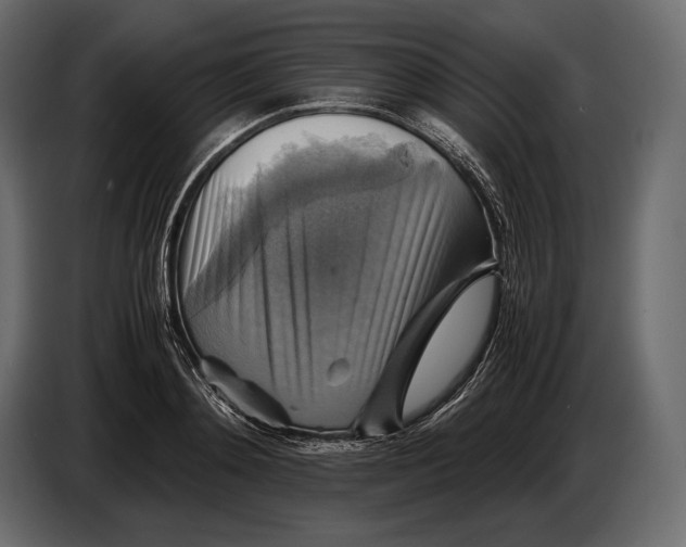 X0000087010892200705071523