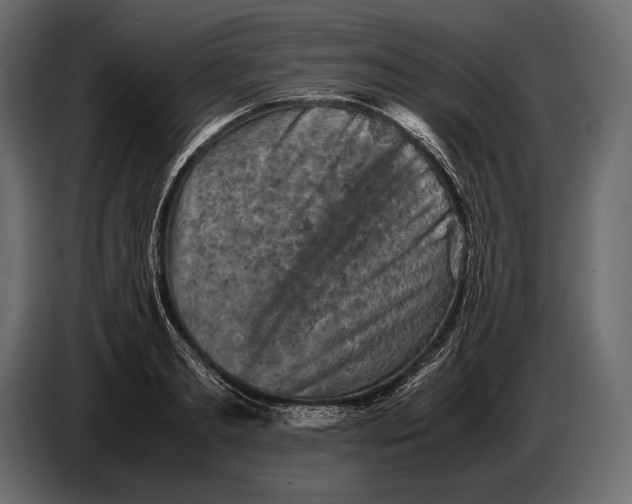 X0000087010893200705071523