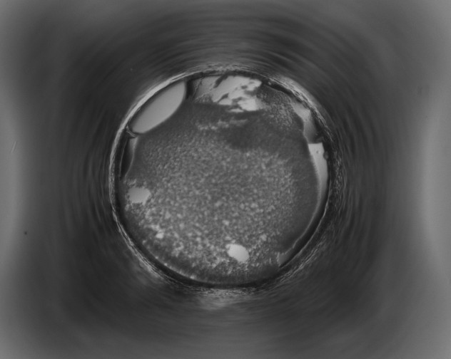 X0000087010894200705071523