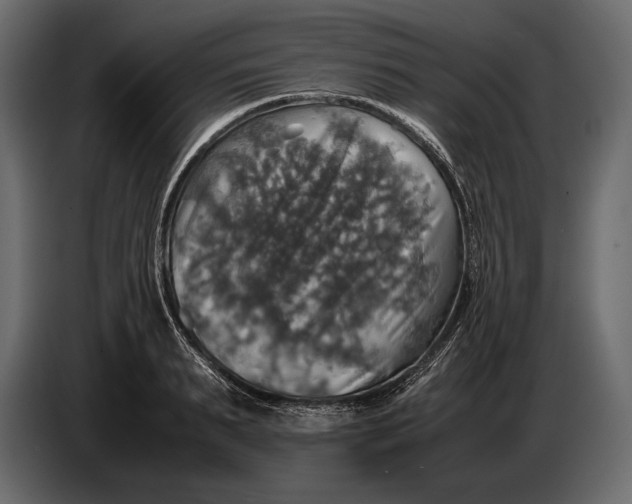 X0000087010895200705071523