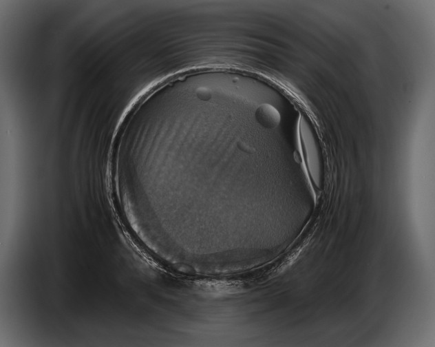 X0000087010896200705071523