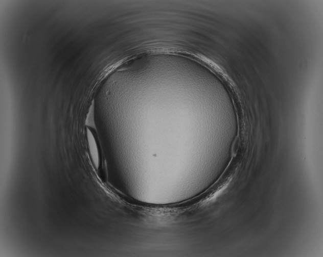 X0000087010897200705071523