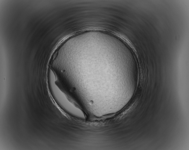 X0000087010898200705071523