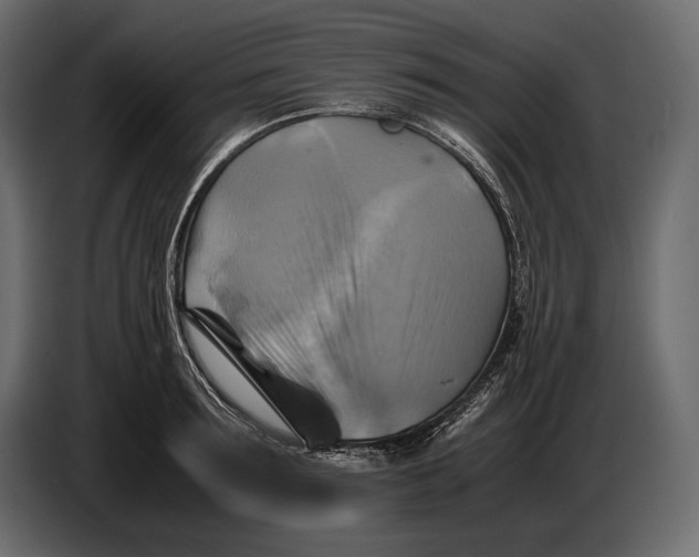 X0000087010899200705071523