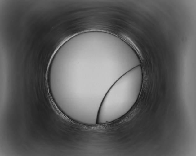 X0000087010900200705071523