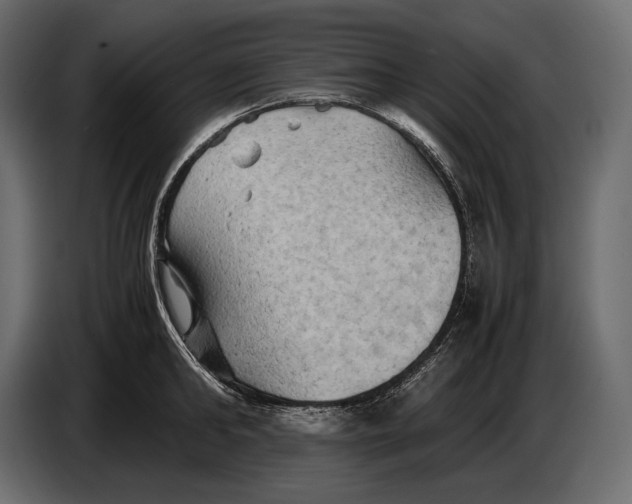 X0000087010902200705071523