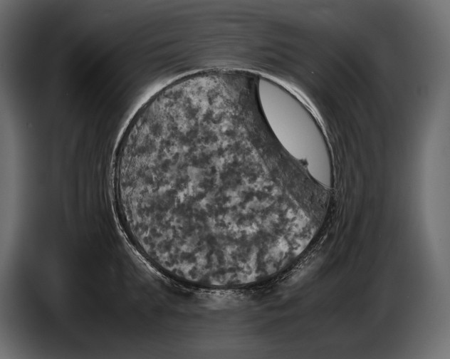 X0000087010903200705071523