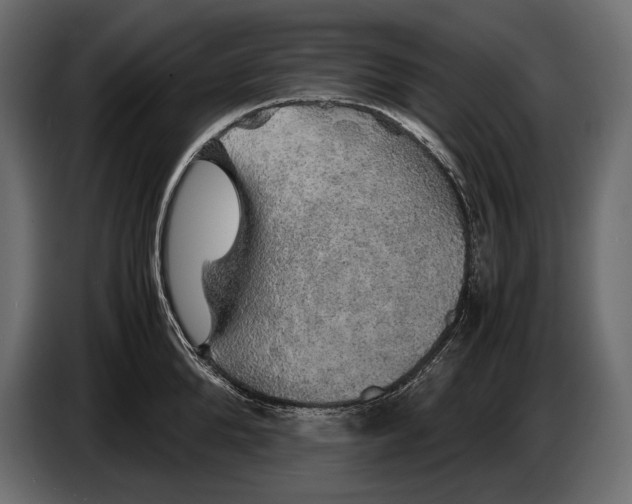 X0000087010904200705071523