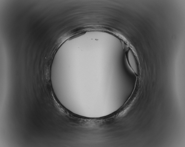 X0000087010905200705071523