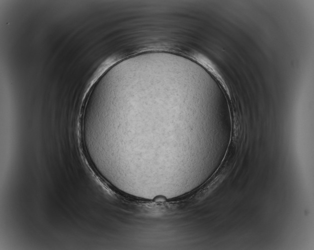 X0000087010906200705071523