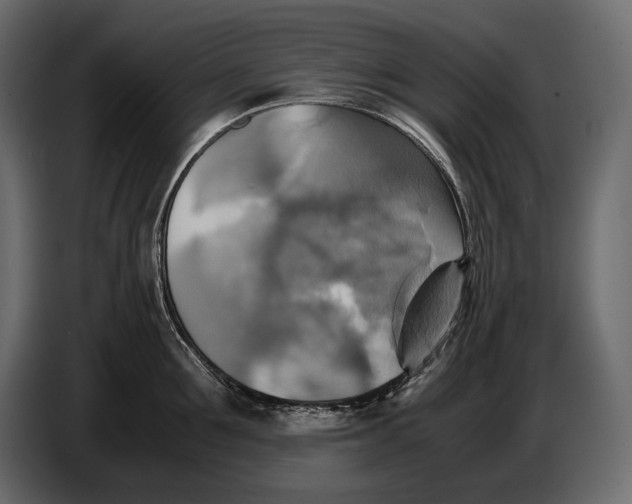 X0000087010907200705071523