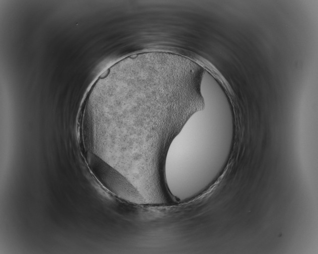 X0000087010908200705071523