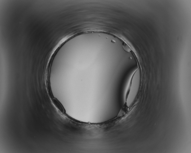 X0000087010909200705071523