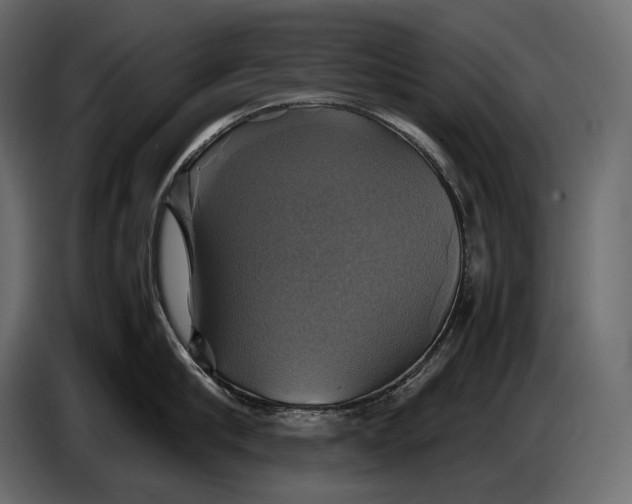 X0000087010910200705071523