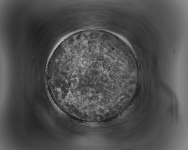 X0000087010911200705071523