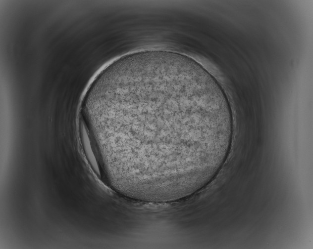 X0000087010912200705071523