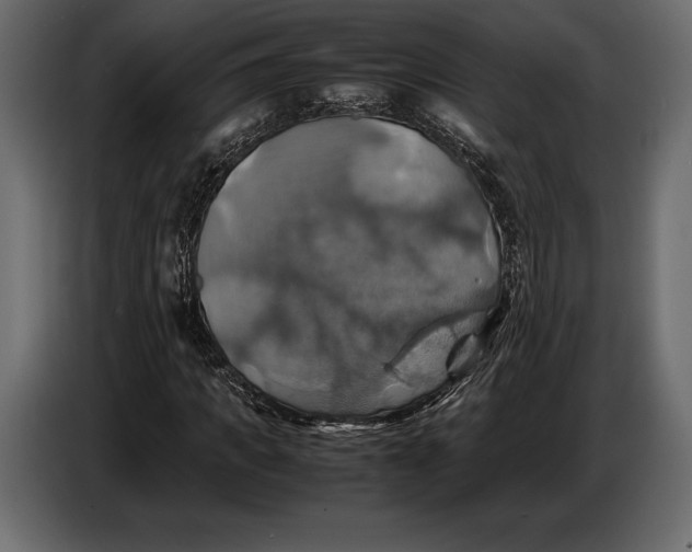 X0000087010917200705071523