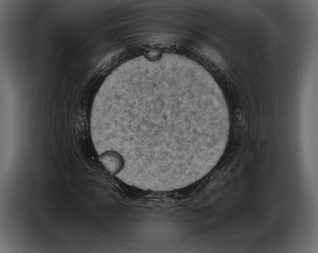 X0000087010918200705071523