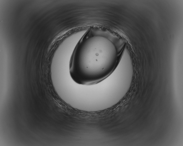 X0000087010920200705071523