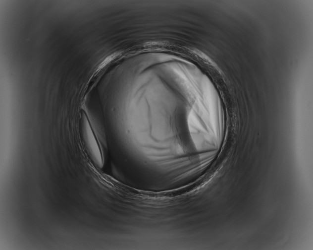 X0000087010921200705071523