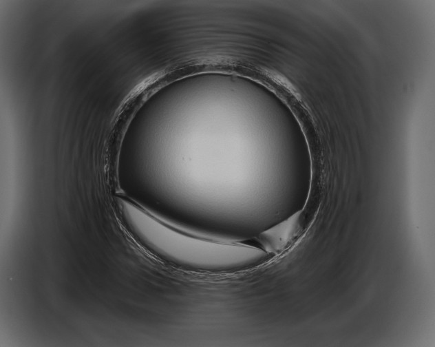 X0000087010922200705071523