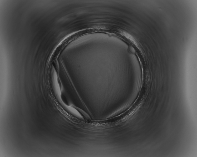 X0000087010923200705071523