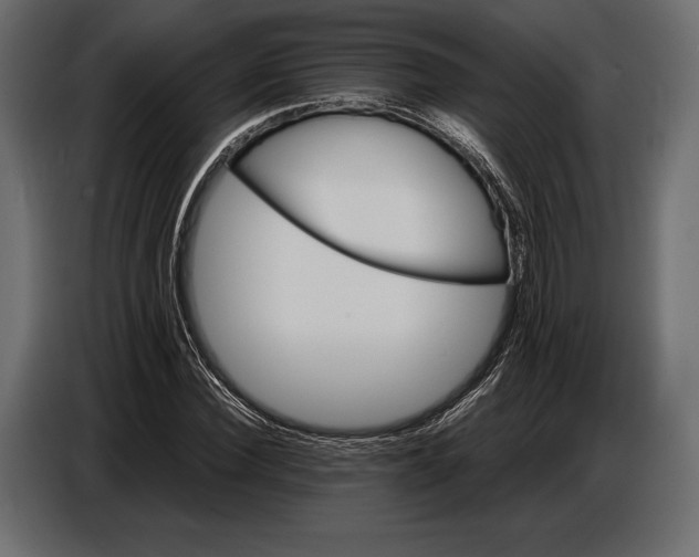 X0000087010924200705071523