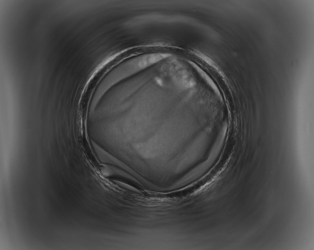 X0000087010925200705071523