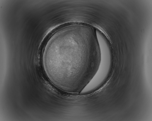 X0000087010926200705071523